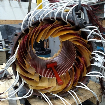Mush Wound Stator